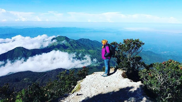 Menikmati Keindahan Puncak Gunung Lawu  yang Berhawa Mistis 